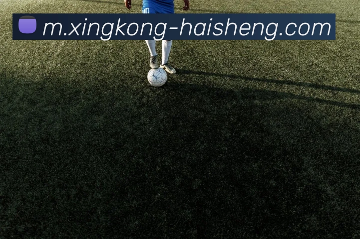奖项图1